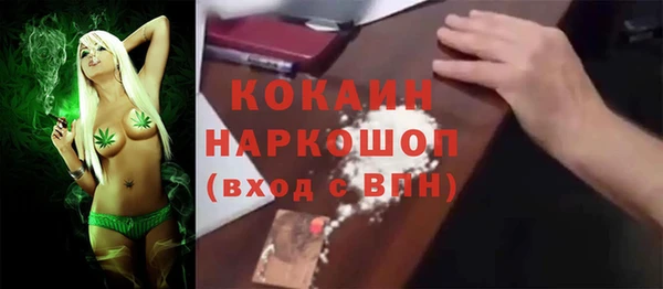 ешки Алексин