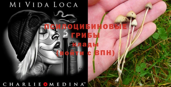 каннабис Алексеевка